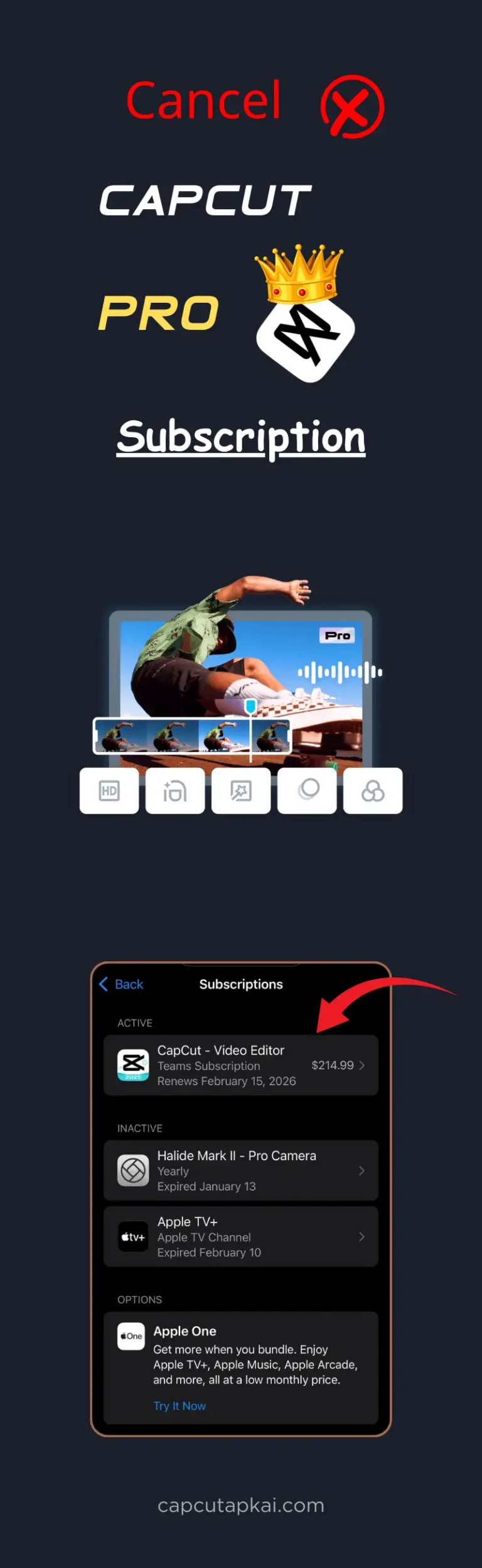 cancel subcription image CapCut pro subscription